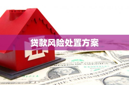 陵水贷款风险处置方案