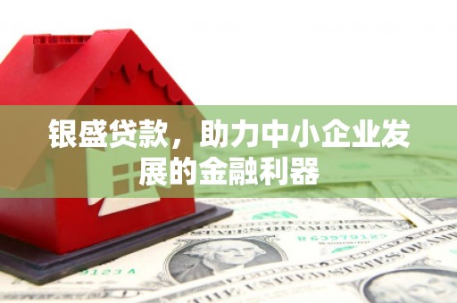陵水银盛贷款，助力中小企业发展的金融利器