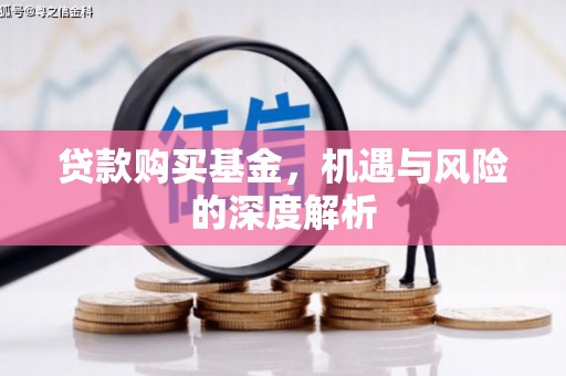 陵水贷款购买基金，机遇与风险的深度解析