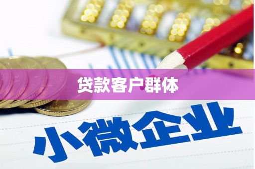 陵水贷款客户群体