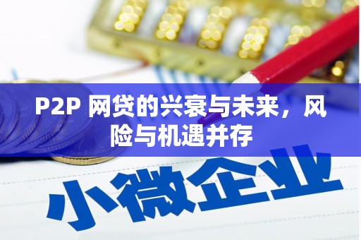 陵水P2P 网贷的兴衰与未来，风险与机遇并存