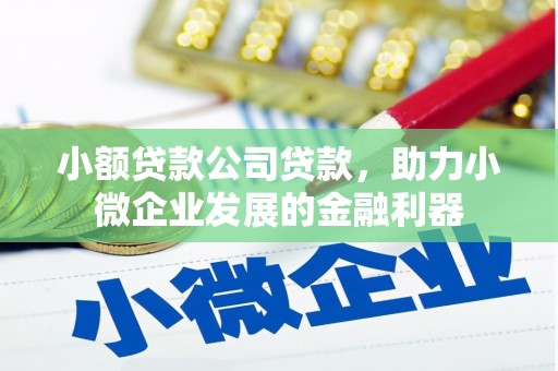 陵水小额贷款公司贷款，助力小微企业发展的金融利器