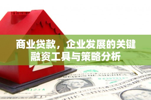 陵水商业贷款，企业发展的关键融资工具与策略分析