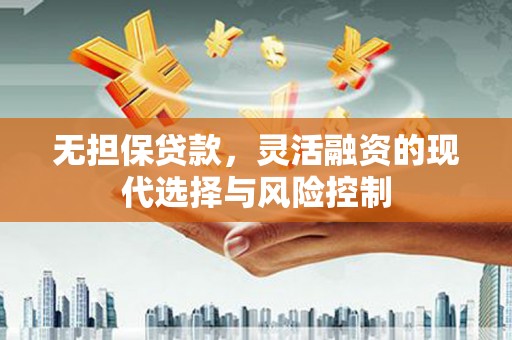 陵水无担保贷款，灵活融资的现代选择与风险控制