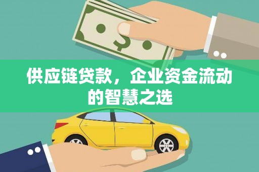 陵水供应链贷款，企业资金流动的智慧之选