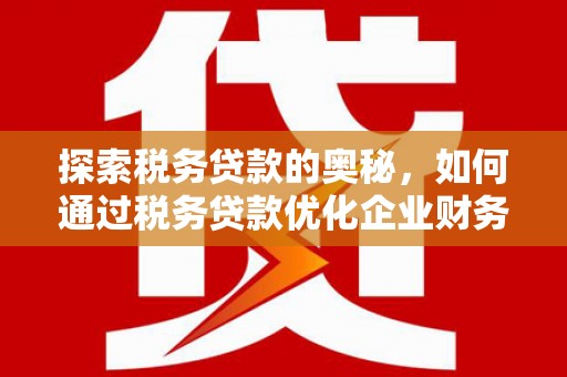 陵水探索税务贷款的奥秘，如何通过税务贷款优化企业财务