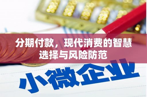 陵水分期付款，现代消费的智慧选择与风险防范