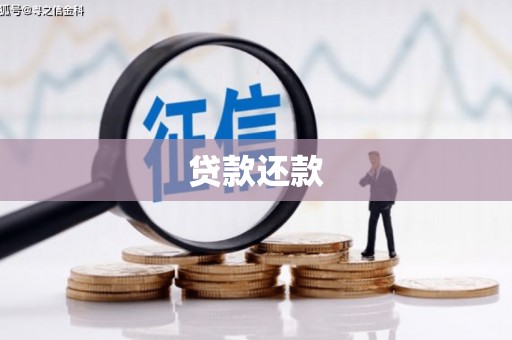 陵水贷款还款