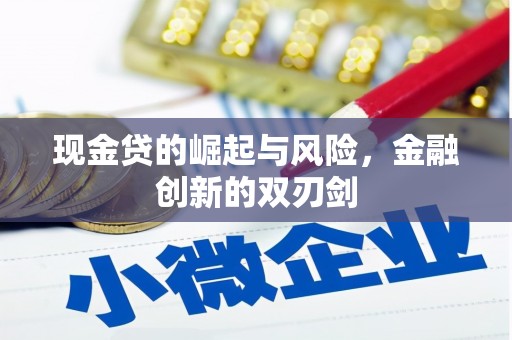 陵水现金贷的崛起与风险，金融创新的双刃剑