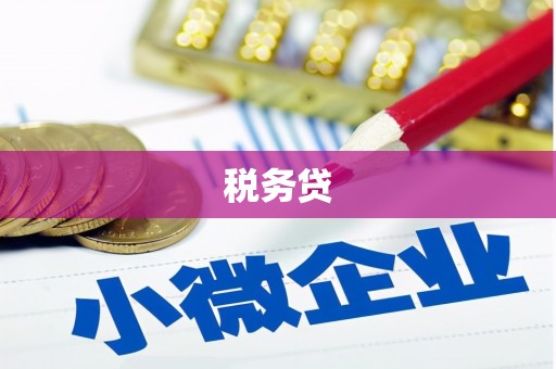 陵水税务贷