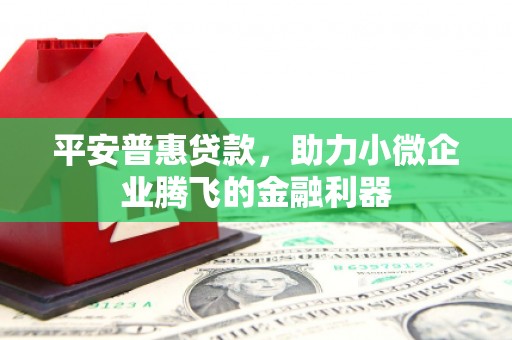 陵水平安普惠贷款，助力小微企业腾飞的金融利器