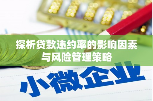 陵水探析贷款违约率的影响因素与风险管理策略