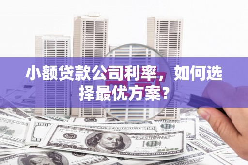 陵水小额贷款公司利率，如何选择最优方案？