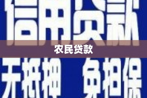 陵水农民贷款