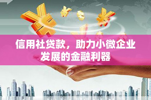 陵水信用社贷款，助力小微企业发展的金融利器