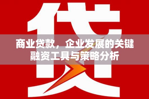陵水商业贷款，企业发展的关键融资工具与策略分析