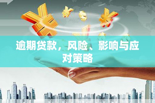 陵水逾期贷款，风险、影响与应对策略