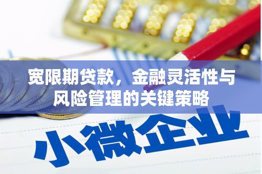 陵水宽限期贷款，金融灵活性与风险管理的关键策略