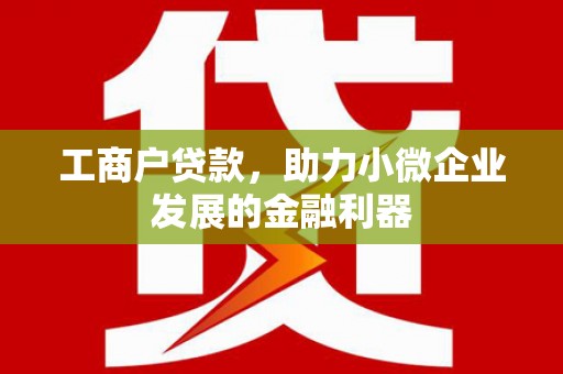 陵水工商户贷款，助力小微企业发展的金融利器