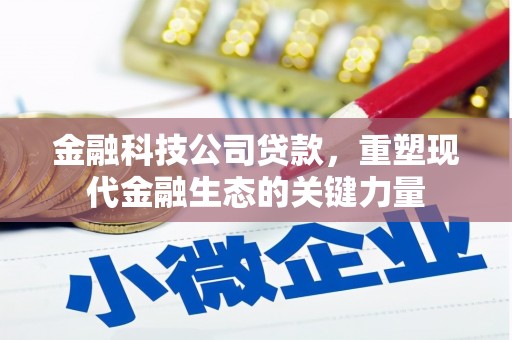 陵水金融科技公司贷款，重塑现代金融生态的关键力量