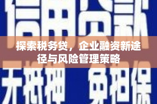 陵水探索税务贷，企业融资新途径与风险管理策略