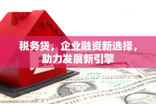 陵水税务贷，企业融资新选择，助力发展新引擎