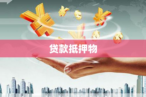 陵水贷款抵押物