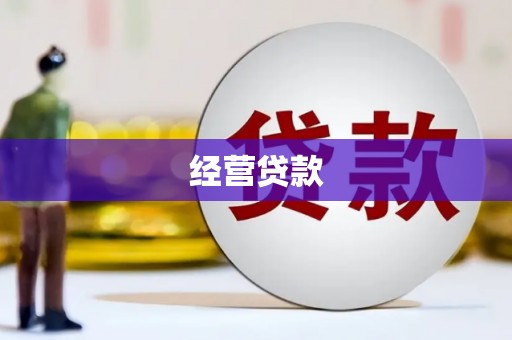 陵水经营贷款