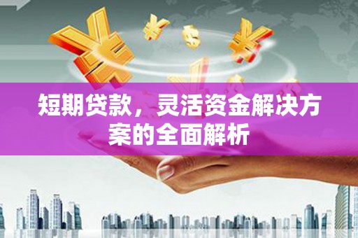 陵水短期贷款，灵活资金解决方案的全面解析