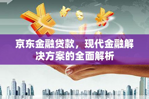 陵水京东金融贷款，现代金融解决方案的全面解析