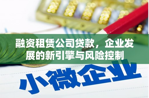 陵水融资租赁公司贷款，企业发展的新引擎与风险控制
