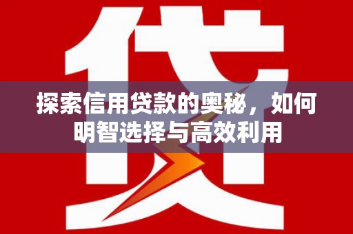 陵水探索信用贷款的奥秘，如何明智选择与高效利用
