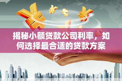陵水揭秘小额贷款公司利率，如何选择最合适的贷款方案