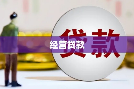 陵水经营贷款
