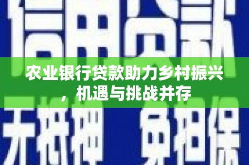 陵水农业银行贷款助力乡村振兴，机遇与挑战并存