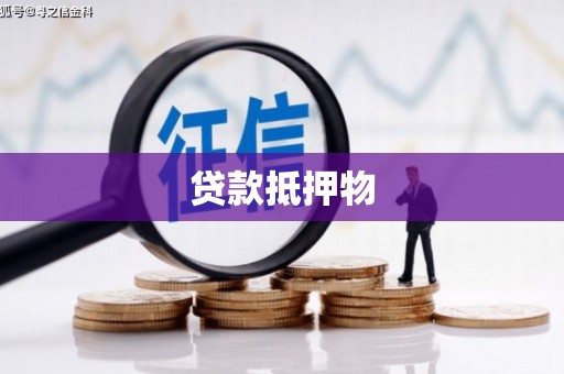 陵水贷款抵押物