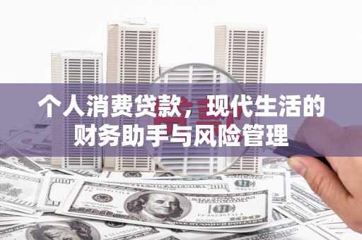 陵水个人消费贷款，现代生活的财务助手与风险管理