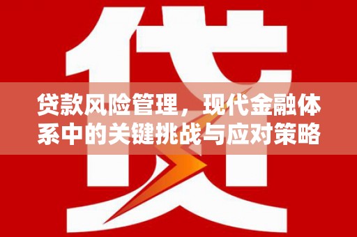 陵水贷款风险管理，现代金融体系中的关键挑战与应对策略