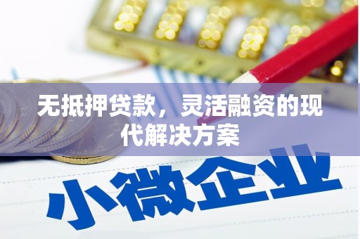 陵水无抵押贷款，灵活融资的现代解决方案