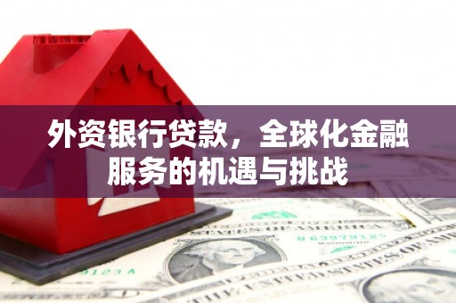 陵水外资银行贷款，全球化金融服务的机遇与挑战