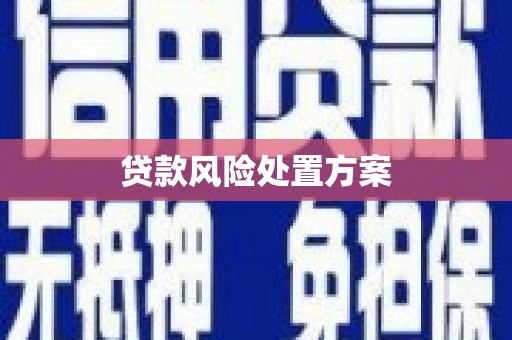 陵水贷款风险处置方案