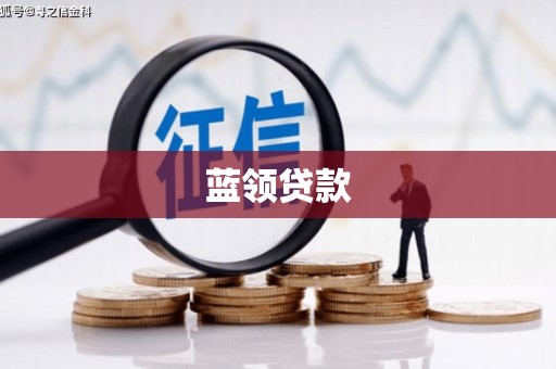 陵水蓝领贷款