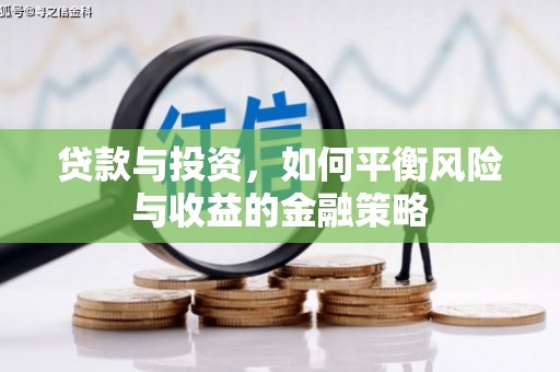 陵水贷款与投资，如何平衡风险与收益的金融策略